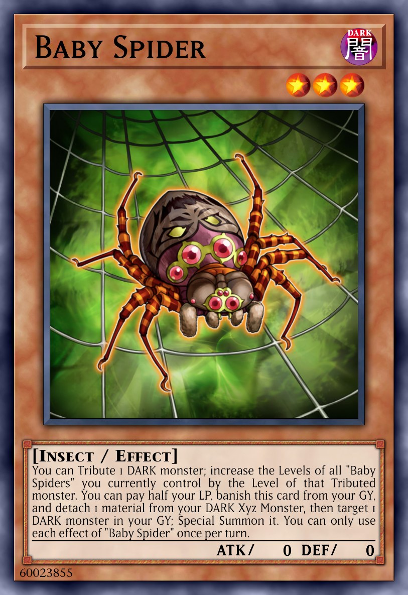 Baby Spider