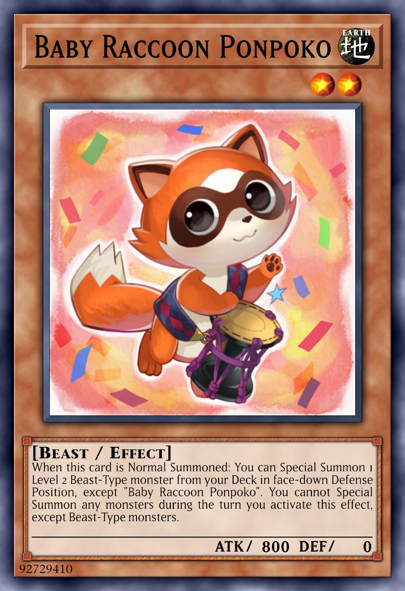 Baby Raccoon Ponpoko