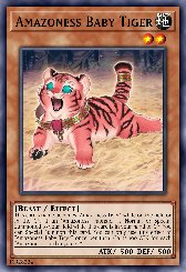Amazoness Baby Tiger