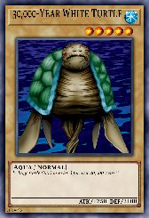 30,000-Year White Turtle
