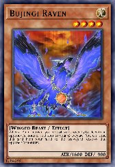 Bujingi Raven