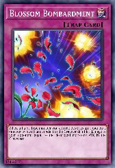 Blossom Bombardment