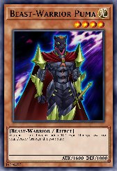 Beast-Warrior Puma