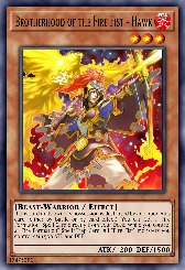 Brotherhood of the Fire Fist - Hawk