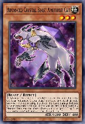 Advanced Crystal Beast Amethyst Cat