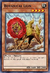Botanical Lion