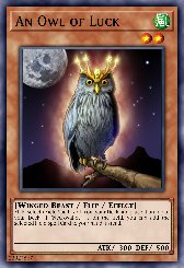 An Owl of Luck