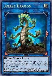 Agave Dragon