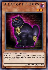 A Cat of Ill Omen