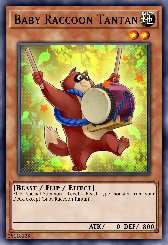 Baby Raccoon Tantan