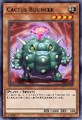 Cactus Bouncer