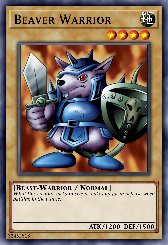 Beaver Warrior