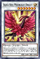 Black Rose Moonlight Dragon