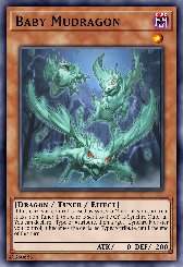 Baby Mudragon