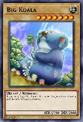 Big Koala