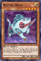 Bujingi Boar