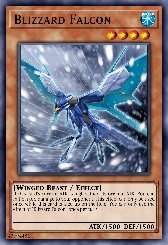 Blizzard Falcon