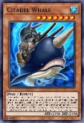 Citadel Whale