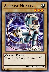 Acrobat Monkey