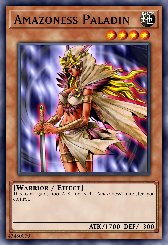Amazoness Paladin