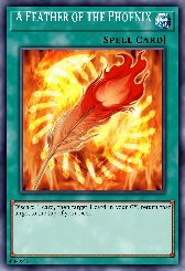 A Feather of the Phoenix