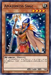 Amazoness Sage