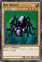 Big Insect