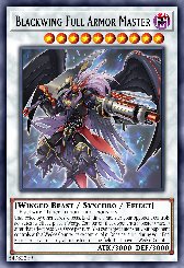 Blackwing Full Armor Master