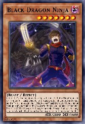 Black Dragon Ninja