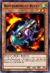 Bombardment Beetle