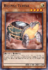 Bujingi Turtle