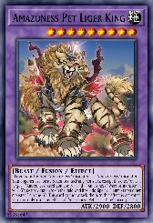 Amazoness Pet Liger King