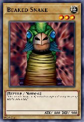 Beaked Snake