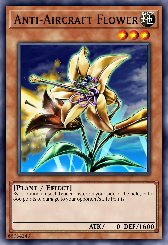 Anti-Aircraft Flower