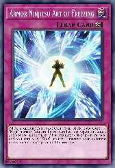 Armor Ninjitsu Art of Freezing