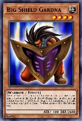 Big Shield Gardna