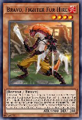 Bravo, Fighter Fur Hire