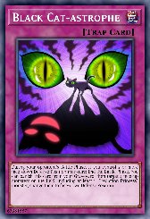 Black Cat-astrophe