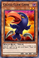 Caligo Claw Crow