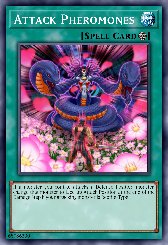 Attack Pheromones