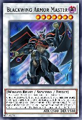Blackwing Armor Master