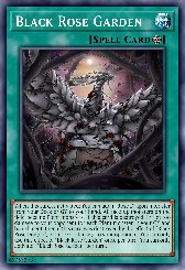 Black Rose Garden