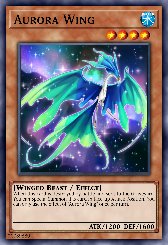 Aurora Wing