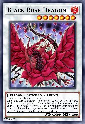 Black Rose Dragon