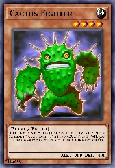 Cactus Fighter