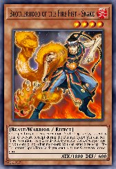 Brotherhood of the Fire Fist - Snake