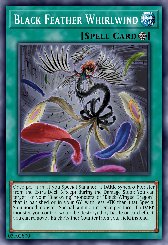 Black Feather Whirlwind