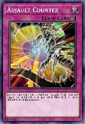 Assault Counter