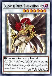 Blackwing Tamer - Obsidian Hawk Joe