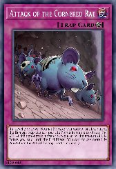 Attack of the Cornered Rat
